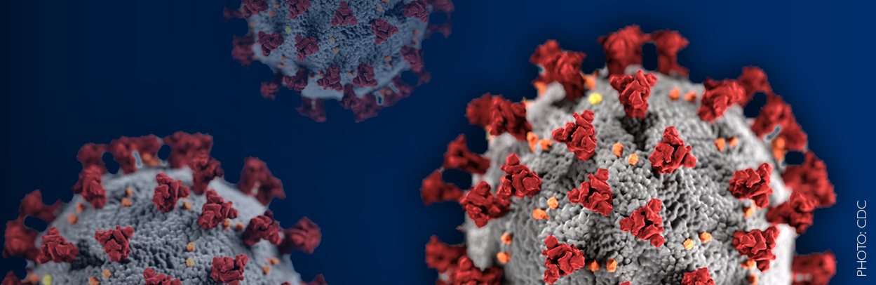 CDC microscopic visual of Corona beta virus.