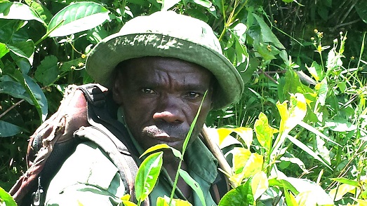 Man belonging to an indigenous group working as a gamekeeper in Kahuzi Biega National Park, South Kivu, Democratic Republic of the Congo/Sarah Swift, USAID