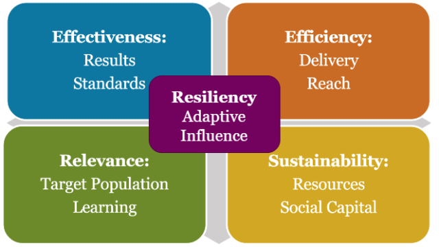 5 Domains of the OPI: Effectiveness, Efficiency, Relevance, Sustainability, and Resilience