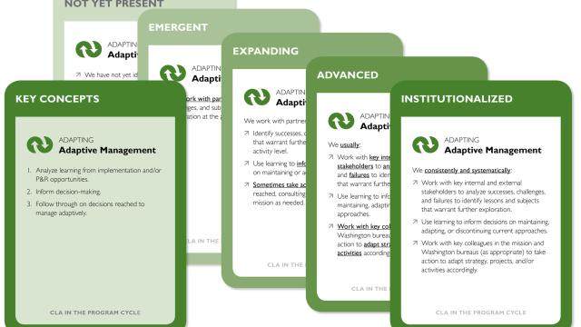 Example of the adaptive management subcomponent cards from the CLA Maturity Tool.
