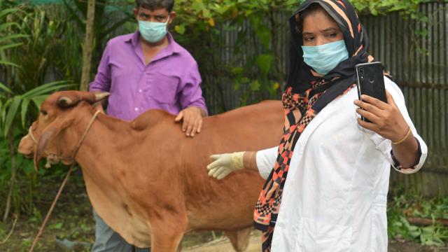 Jesmin Akter, a livestock service provider in Bangladesh