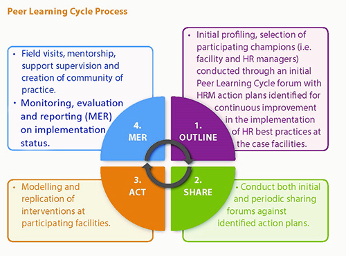 Graphic of Peer Learning Cycle process