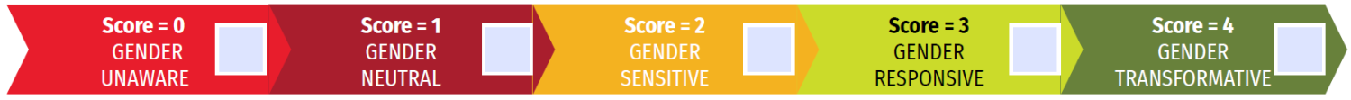 CARE's Gender Marker Scoring