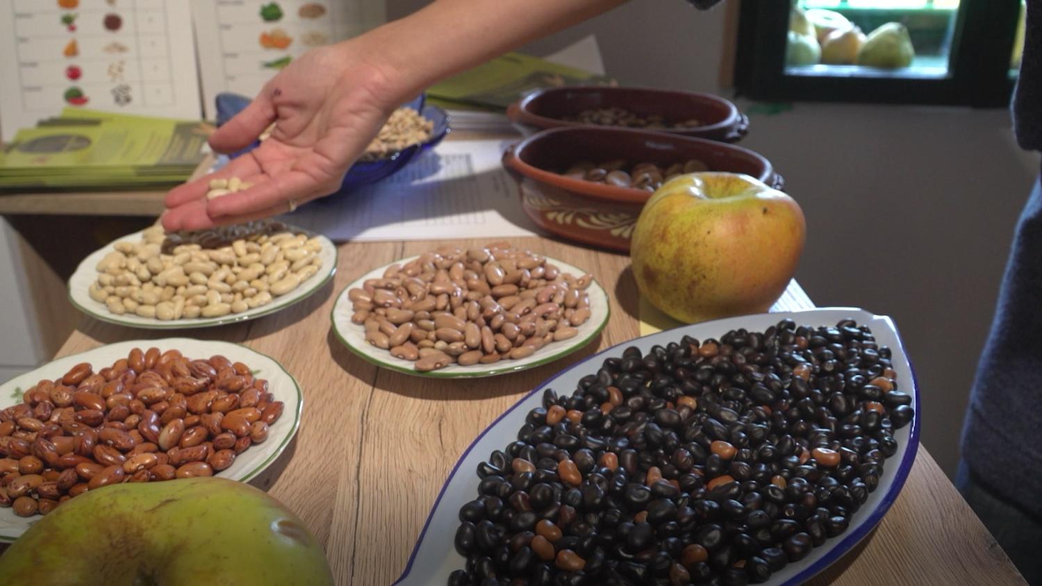 The Seed Bank, a Local Works partner, displays the indigenous seeds they preserve