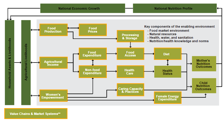 Context Matters: SPRING Interactive Agriculture-Nutrition Context Assessment Guide for Improved Multisectoral Design