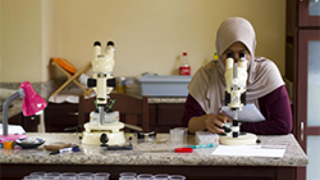 Woman in a hijab works with a microscope in a lab
